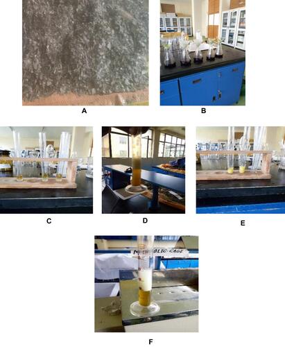 Figure 2 Sample photographs showing the extraction process (A and B) and phytochemicals screening (C–F) within the Pharmacology laboratory, Mizan–Tepi University, Ethiopia, January 2019.