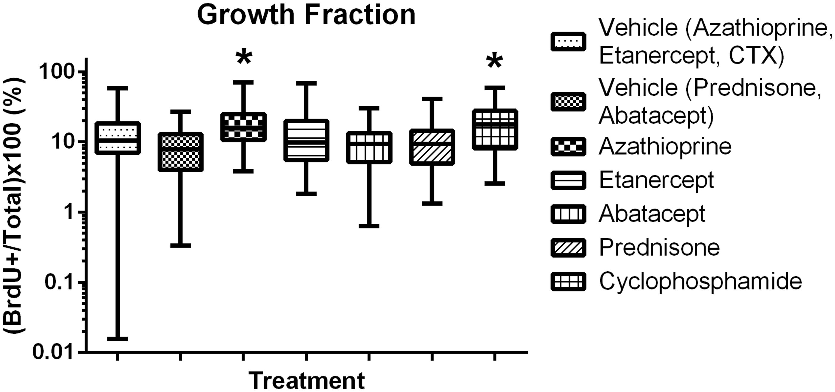 Figure 7. Growth fraction in established colonies. CTX and Azathioprine increase growth fraction in established colonies. Box and whiskers, Min to Max. *Significantly different from control (p < 0.05); n = 12/group. Treatment group always compared back to respective control.
