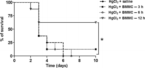 Figure 1. Survival curves of mice challenged with HgCl2 transplanted with BMMC. HgCl2-challenged mice (n = 10 per group) received saline or BMMC intravenously at different times after HgCl2 administration (3, 6, and 12 h; n = 8, on each group). Mortality was evaluated up to 10 days after challenge.Note: *p < 0.05, Kaplan–Meier log rank test.