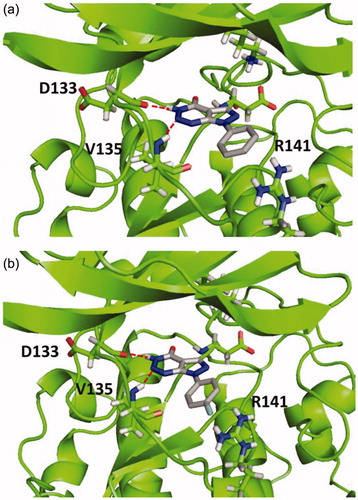 Figure 2. Binding mode for inactive compound 4a (a) and 4e (b) in GSK-3 showing two relevant H-bonds with nearby residues Asp133 and Val135 and negative interaction with Arg141, due to steric impediment.