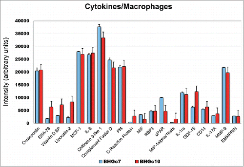 Figure 4. Expression of cytokines/chemokines of SCLC26A and BHGc7-primed macrophages. The figure shows the significantly expressed cytokines/chemokines expressed by macrophages induced by preincubation with CM of BHGc7 and BHBc10 CTC lines, respectively (mean ± SD). All differences are statistically non-significant, except for ENA-78, VDBP, LPC2, CRP, uPAR, MIP-1 and GDF-15.