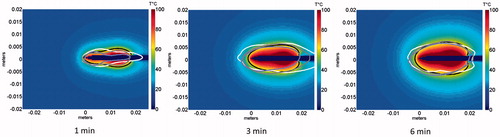 Figure 8. Comparison of simulation and experiment using the short-tip (ST) applicator. The solid black line is the simulation and each individual shade of grey line corresponds to a different actual experiment. The 60 °C isothermal contour was used to compare the extent of the ablation zone of simulation versus experiment (n = 3) at 1 min (DSC agreement =0.79 ± 0.07)), 3 min (DSC agreement =0.83 ± 0.03) and 6 min (DSC agreement =0.85 ± 0.03). Temperature maps are shown from the simulation.