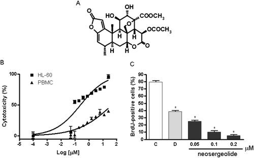 Figure 1.  Chemical structure of neosergeolide (A), concentration-response curve of neosergeolide cytotoxicity (%) after 24 h exposure of HL-60 and PBMC (B), and its effects on 5-bromo-2-deoxyuridine (BrdU) incorporation (C) by HL-60 cells. *p < 0.001 compared to control by ANOVA followed by Student Newman–Keuls test. Data are presented as means ± S.E.M. for three independent experiments in triplicate.