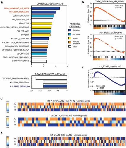 Figure 4. Gene set enrichment analysis (GSEA) revealed significant up-regulation of TNF-a (via NFkβ) and down-regulation of IL2-STAT5 signaling in the peripheral T cells from AGI-101H-vaccinated patients with melanoma