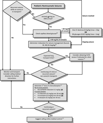 Figure 1.  Patient care algorithm for an evidence-based guideline for pediatric prehospital seizure management.