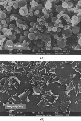 FIG. 2. Scanning electron micrographs of the spray-dried (A) and freeze-dried nanospheres (B).