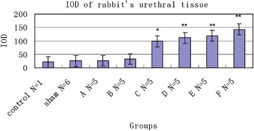 Figure 7. Mean IOD of TUNEL stain tissue in control (N = 1), sham-treated (N = 6) and RF-treated groups (N = 5/group). Also shown are results from the untreated control animal (N = 1) for comparison. *P < 0.05, **P < 0.01.