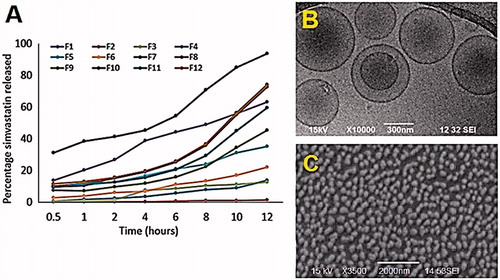 Figure 4. (A) Release profiles of simvastatin from the 12 niosomal formulations using Franz diffusion cells (dialysis membrane MWCO 20 kDa cellulose ester, 10 mM phosphate buffer (pH 6.8) containing 0.05% sodium dodecyl sulfate, 37 °C, 300 rpm, n = 3). Standard deviation did not exceed 5% of the release percentage at each time point. (B) and (C) TEM and SEM of the prepared niosomal vesicles of highest simvastatin release (F10), respectively.