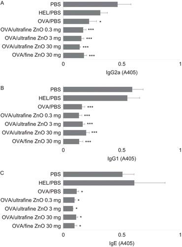 Figure 3.  Effect of zinc oxide (ZnO) on the suppression of anti-ovalbumin (anti-OVA) IgG2a, IgG1, and IgE antibody production by cells from hosts that had been gavaged with the test antigen. All mice were immunized with OVA on Day 0. To induce oral tolerance, mice were gavaged once with 25 mg of OVA dissolved in phosphate-buffered saline (PBS) on Day −5. As controls, PBS or 25 mg hen egg lysozyme (HEL) were provided in place of OVA at the time of gavage. To examine the effect of ZnO on oral tolerance, PBS, 0.3, 3, or 30 mg of ultrafine ZnO, or 30 mg of fine ZnO were administered at the same time when the mice were gavaged. Serum samples were collected Day 21 and individually assayed for anti-OVA (A) IgG2a, (B) IgG1, and (C) IgE antibodies by enzyme-linked immunosorbent assay (ELISA). Values are expressed as mean (± SEM) of six mice. *p < 0.05 and ***p < 0.001 versus PBS treatment group (Dunnett’s test). Y-axis tags indicate what the mice received during gavage on Day −5.