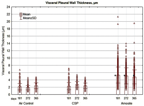 Figure 10.  The thickness of the pleural wall measured at between 5 and 10 points in each section examined is shown for the air control, CSP, and amosite asbestos-exposed groups. The mean visceral wall thickness of the amosite-exposed group was statistically larger than the mean visceral wall thickness of the chrysotile or air-control groups (Dunnett’s T-test, P < 0.01).