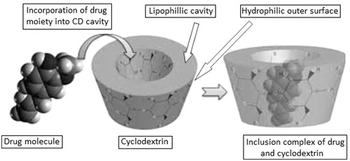 Figure 5. Process of inclusion complex formation of drug and cyclodextrin.