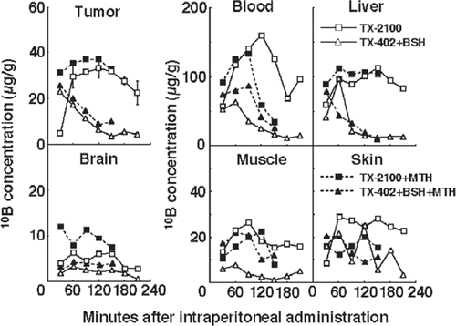 Figure 2. The time course of changes in the 10B concentrations in solid tumours, brain, blood collected from heart, liver, muscle and skin of tumour-bearing mice. Bars represent standard deviations. TX-2100; a newly synthesized hypoxic cytotoxin-sodium borocaptate-10B conjugate, TX-402; 3-amino-2-quinoxalinecarbonitrile 1,4-dioxide, BSH; sodium borocaptate-10B, MTH; mild temperature hyperthermia (40°C, 30 min).