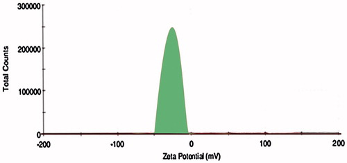 Figure 6. Determination of zetapotential of OIHNPs by Malvern zetasizer.