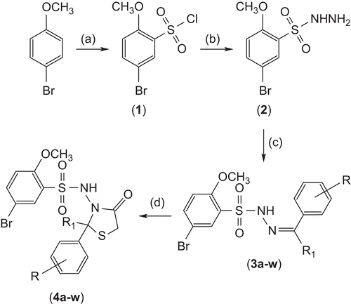 Scheme 1.  Synthetic route to the titled compounds 4a–w. Reagents and conditions: (a) HClSO4, 0°C; (b) NH2NH2.H2O, 0°C, ethanol; (c) CH3COOH, RCOR1, reflux; (d) HSCH2COOH, ZnCl2, reflux.