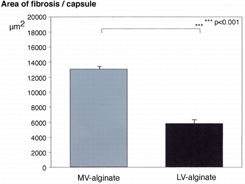 Figure 3. Extent of tissue fibrosis induced by transplantation of alginate beads made of different alginate solutions into a muscle pouch. Fibrotic reaction was calculated as area of fibrotic tissue/capsule, corresponding to µm2/capsule (dependent on magnification and the resolution of the image). Values are means ± SEM. (Go to www.dekker.com to view this figure in color.)