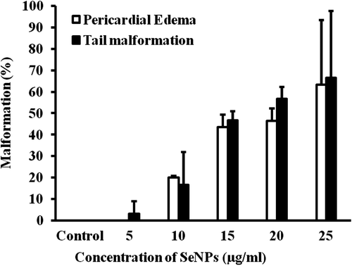Figure 6. Percentage of malformation (tail, pericardial edema) induced by different concentrations of SeNPs (100–200nm) and sodium selenite.