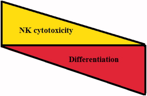 Figure 2. Inverse association between cellular differentiation and NK cell cytotoxicity. Based on the accumulated data from our laboratory, an inverse relationship between cellular differentiation and NK cell mediated cytotoxicity is directly proportional.