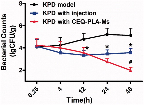 Figure 4. Klebsiella pneumonia bacterial counts in lung following i.v. administration of a single 12.5 mg/kg dose of CEQ-loaded microspheres or CEQ injection. Each point represents the mean ± SD, n = 6. *p < .05 compared with KPD model group. #p < .05 compared with CEQ injection group.