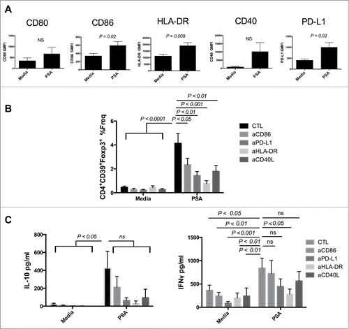 Figure 2. PSA induction of CD39+Foxp3+ T cells requires engagement of HLA-DR and costimulatory molecules. Blocking HLA-DR or costimulatory molecules limited PSA-mediated induction of CD39+Foxp3+ T cells and cytokine production. (A) 5 × 104 DCs were cultured with 25 µg/ml PSA for approximately 16 hours before being stained for surface expression of the above markers, n = 3–6. DCs were incubated with 10 µg/ml of blocking antibody specific to CD86, PD-L1, HLA-DR or CD40L for 30 min prior to co-culture with 3 × 104 autologous NCD4s in the presence or absence of 25 µg/ml PSA and 100 U/ml IL-2. Supernatants were assessed by ELISA for IL-10 or IFNγ. (B) CD4+CD39+Foxp3+ T cell frequency, n = 6–10 per condition (C) IL-10 and IFNγ production, n = 4–10 per condition. Error bars reflect standard error of the mean representing independent experiments, each using cells from different individuals. P values were calculated using 2-tailed Student's t-test (A) or one-way ANOVA using Dunnett's multiple comparison test (B, C).