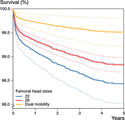 Figure 3. Survival functions for patients with a femoral neck fracture with the endpoint “revision due to dislocation” by femoral head size. A Cox proportional hazards model was used to calculate adjusted survival functions with 95% CI (dotted lines) for patients with a femoral head fracture, for the femoral head sizes 22 mm (n = 1,394) and 28 mm (n = 57,194), and dual-mobility cups (n = 287). The endpoint was revision due to dislocation. Survival functions were adjusted for the mean of the covariates gender, age, and surgical approach but fixed for the diagnosis femoral neck fracture. Dual-mobility cups were associated with the lowest risk of revision due to dislocation.