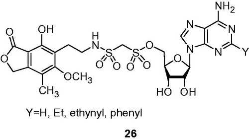 Figure 5. Methylenebis(sulfonamide) analogs 21 of mycophenolic adenine methylenebis(phosphonate)s 26Citation41.