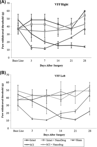 Figure 3. Study of the effect of CNT/Nafion nanocomposite on mechanical allodynia threshold for pain in right (A) and left (B) paw of animals.