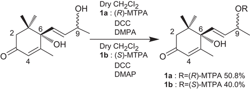 Figure 1.  Preparation of (R)- and (S)-MTPA esters 1a and 1b from compound 1.