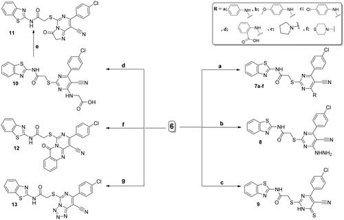 Scheme 3. Synthesis of compounds 7a–f and 8–13; conditions and reagents: (a) absolute ethyl alcohol, primary or secondary amine, TEA, room temperature for 24 h, then the heating under reflux for 6–12 h; (b) hydrazine hydrate, abs. ethanol, reflux, 6 h; (c) thiourea, abs. ethanol, reflux, 6 h; (d) n-butanol, glycine, reflux for 3 h; (e) reflux for 2 h with acetic anhydride; (f) fusion with the anthranilic acid in the oil bath at 190 °C, for 2 h; (g) glacial acetic acid, sodium azide, reflux for 3 h.