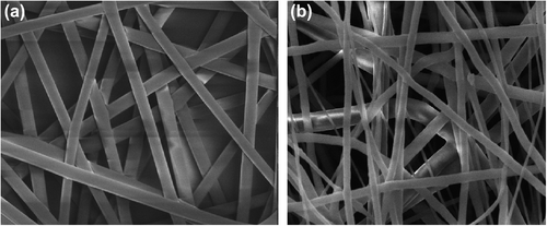 Figure 1. SEM images of (a) Drug-loaded nanofiber (b) Blank nanofiber.