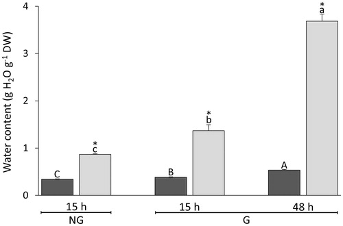 Figure 2. Changes in WC during imbibition of Triticum aestivum seeds. After 15 and 48 h from the onset of imbibition, NG seeds were sorted from G seeds. Endosperms (dark grey bars) and their embryos or seedlings (light grey bars) were dissected and analysed separately. Data are means ± SE (n = 4 replicates of 40 endosperms and embryos). After the onset of imbibition, bars labelled with the same letter do not differ significantly (one-way ANOVA analyses followed by post-hoc Tukey's HSD test, p-value ≤.05). Asterisks indicate significant differences (one-sample t-test, p-value ≤.05) between seed structures at the same time interval.