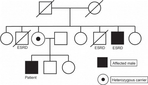 Figure 1. The family pedigree. ESRD, end-stage renal disease.