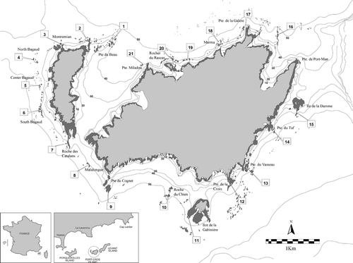 Fig. 1. Map of the Port-Cros National Park with submerged rocky bottoms (shading areas). Labels indicate numbered sampling sites.