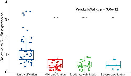 Figure 3. The association between serum miR-15a levels in patients and vascular calcification severity. The Kruskal–Wallis rank-sum test was used to compare relative miR-15a expression between groups. The Wilcoxon test was used to compare other groups with the ‘non-calcification’ group. ****p < 0.00001; ***p < 0.001; **p < 0.01. Comparisons between the other three groups showed no significant differences.