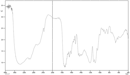 Figure 5. Fourier transform infrared spectroscopy (FT-IR) of methotrexate-poly (lactic-co-glycolic acid) (PLGA)-beta-cyclodextrin (βC) copolymer.