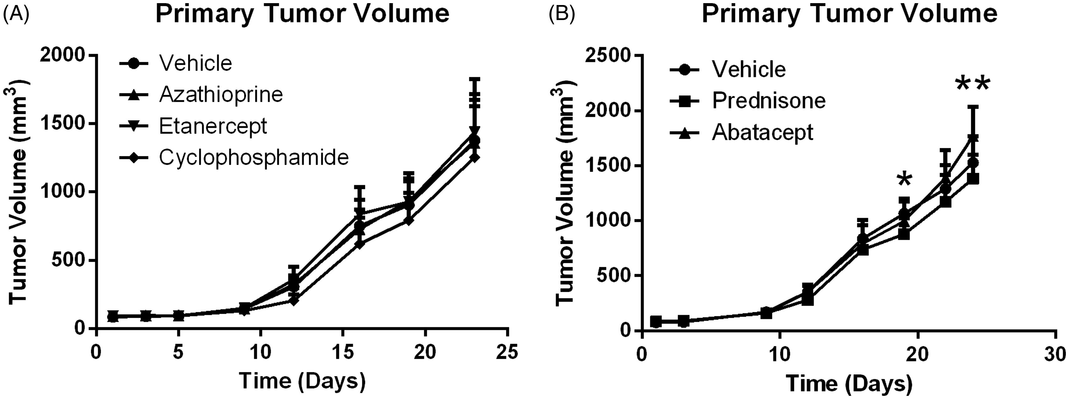 Figure 2. Primary tumor volume increases over time with and without treatment. Data shown are mean ± SD. *At Day 19, Prednisone is significantly less than vehicle control (p < 0.05); n = 12/group. **At Day 24, Prednisone is statistically less than vehicle control and Abatacept is significantly greater than control (p < 0.05); n = 12/group.