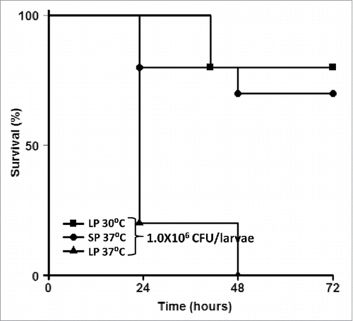 Figure 3. G. mellonella larval death is dependent on bacterial growth temperature and bacterial growth phase. G. mellonella larvae were injected with log (LP) and stationary phase (SP) 2457T that were grown at 37°C and 30°C. After injection, the larvae were incubated at either 37°C or 30°C, and death was monitored over time.