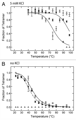 Figure 1. Effect of LAs on temperature dependence of KcsA tetramer stability in the presence and absence of K+. KcsA tetramer was measured by SDS-PAGE analysis of a series of identical samples incubated at various temperatures for 10 min before addition of SDS-PAGE sample buffer. The sample assay mixture contained 10 mM Hepes-Tris, pH 7.4, 100 mM cholineCl, either 5 mM KCl (A) or no added KCl (B) and either no LA (○), 20 mM lidocaine (●) or 5 mM tetracaine (△). Solid lines indicate nonlinear regression fits to a logistic function of temperature described in Materials and Methods. Fit parameters: (A) 20 mM lidocaine (●) : T0.5 = 98.0 ± 2.1 °C, n = 14.1 ± 4.8; (A) 5 mM tetracaine (△): T0.5 = 75.9 ± 1.7 °C, n = 10.7 ± 2.3; (B) no LA (○): T0.5 = 45.7 ± 0.9 °C, n = 6.4 ± 0.7; (B) 20 mM lidocaine (●) : T0.5 = 41.9 ± 0.7 °C, n = 6.4 ± 0.6.