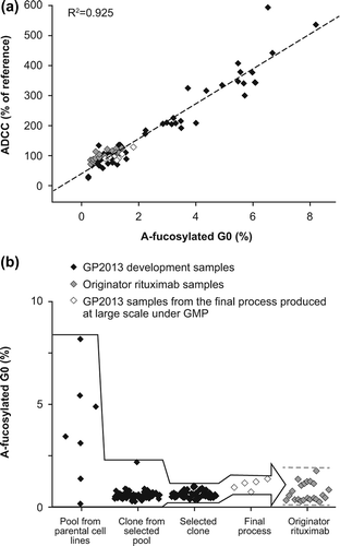 Figure 1. (a) The wide range of a-fucosylated bG0 glycans in GP2013 development samples allowed the establishment of a quantitative structure–function relationship between a-fucosylated bG0 and ADCC. Black squares: GP2013 development samples; gray squares: rituximab originator samples; white squares: GP2013 samples from the final process produced on a large scale under good manufacturing practice (GMP). (b) Target-directed development of GP2013 to ensure that a-fucosylated bG0, and thus ADCC, is within the originator target range. The different steps entailed: (1) selection and subsequent cloning of a pool from a parental Chinese hamster ovary (CHO) cell line with a good overall quality and productivity profile and an a-fucosylated bG0 value closest to originator rituximab; (2) selection of the clone with the best overall quality profile, with a-fucosylated bG0 structure being close to the originator and showing little variation; (3) exposing the selected clone to different process conditions to optimize the overall quality and productivity profile resulting in the selection of a final process; (4) GMP production of GP2013 on a large scale using the final process, resulting in a-fucosylated bG0 values in the middle of the originator range.