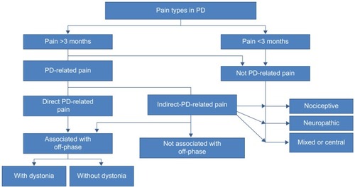 Figure 3 A simplified scheme of pain evaluation and origin in PD.
