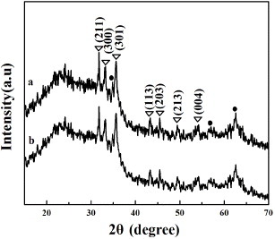 Figure 10. Wide-angle XRD patterns of MMBGs2 (a) and MMBGs3 (b) after soaking in SBF for 3 days. (The circle represents the Fe3O4 characteristic diffraction peak; the triangle represents the HAP characteristic diffraction peak.)