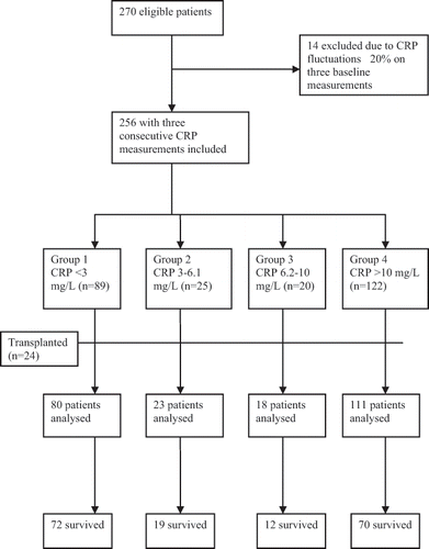 Figure 1 Flow of the patients through the study.