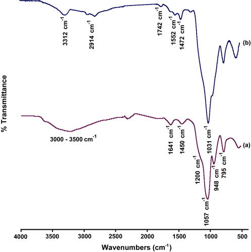 Figure 1. FT-IR spectrums of (a) Silica nanoparticles (b) PEI-coated silica nanoparticles.