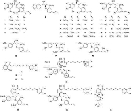 Figure 1. Structures of compounds from nutmeg 1–24.