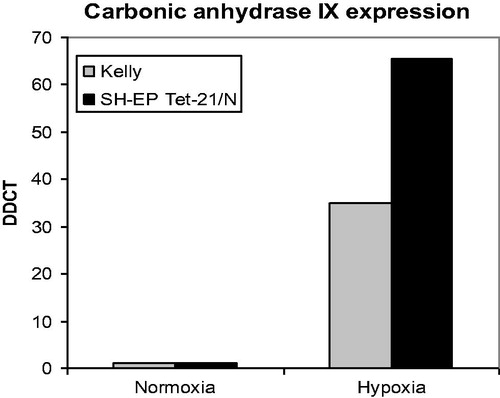 Figure 2. Carbonic anhydrase IX RNA expression under normoxic and hypoxic conditions in Kelly and SH-EP Tet-21/N neuroblastoma cells. Major increase of carbonic anhydrase IX RNA expression under hypoxic conditions in Kelly and Tet neuroblastoma cells with respect to normoxic conditions.