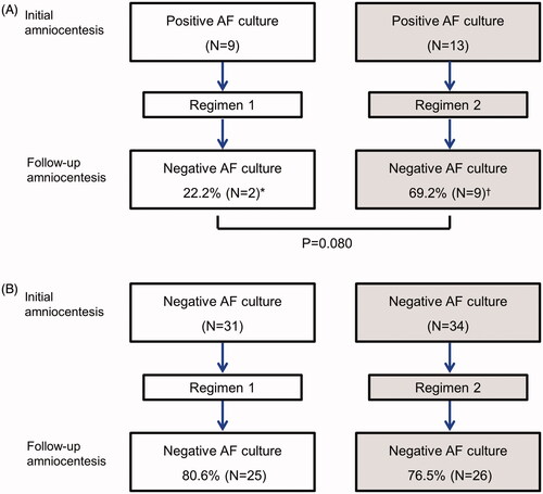 Figure 2. Conversion of intra-amniotic infection according to the antibiotic regimen. (A) 22.2% of patients with a positive amniotic fluid culture at the time of initial amniocentesis and who received regimen 1 had a conversion to a negative amniotic fluid culture at follow-up amniocentesis, while 69.2% of patients who received regimen 2, the amniotic cavity became sterile (p = 0.080) (B) There was no difference in the rate of development of de novo intra-amniotic infection according to the antibiotic regimen. *, All cases (2/2) with negative conversion of intra-amniotic infection had an intra-amniotic inflammation. †, Four (44.4%) of 9 cases with negative conversion of intra-amniotic infection had an intra-amniotic inflammation.