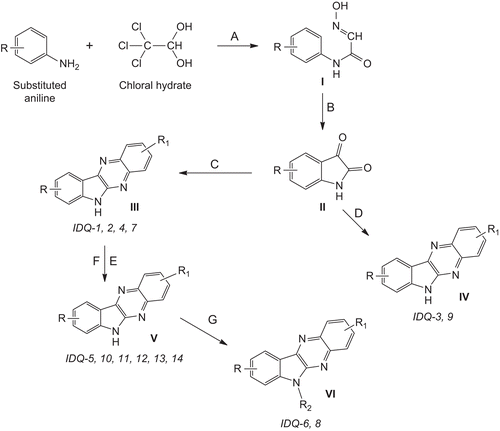 Scheme 1.  Synthesis of 6H-indolo[2,3-b]quinoxaline derivatives. A: Conc. HCl, sodium sulfate, hydroxylamine HCl, reflux for 15 min; B: PPA/H2SO4, 56°C for 6 h/120°C for 6 h; C, D: o-phenylenediamine or diaminobenzoic acid, acetic acid/HCOOH, reflux for 1–7 h; E: CDI, dry DMF, stir at room temperature for 4 h, DCM, MgSO4; F: dry DMF, 120°C, 30 min–2 h; G: K2CO3, dry DMF, 85–100°C for 12–16 h.