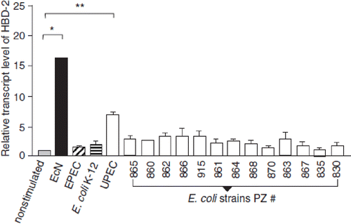 Figure 16. Stimulation of human β-defensin-2 (HBD-2) gene transcription in Caco-2 intestinal epithelial cells by pathogenic (EPEC E2348/69, UPEC 536) and non-pathogenic E. coli strains (E. coli K-12 DSM 498, EcN), and by E. coli strains with unknown pathogenicity (fecal isolates from healthy persons (PZ 860-915) and colitis ulcerosa patients (PZ 830, 835) (Citation114,Citation138). Caco-2 cells were stimulated for 4.5 h with 3 × 108 heat-inactivated bacteria/ml. Transcription of the HBD-2 gene was analyzed by real-time PCR. HBD-2 gene expression is shown after stimulation by the different E. coli strains, including probiotic E. coli Nissle 1917 (EcN). Data represent the means ± SEM normalized to the basal expression of controls (set at 1) from one to six separate experiments run in triplicate. *p = 0.0006; **p < 0.0001.