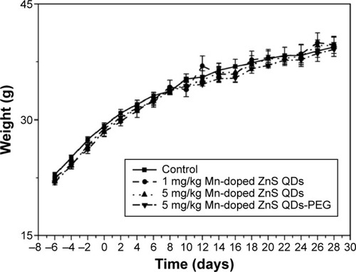 Figure 4 Body weight of mice after 7 days consecutive intravenous injection with Mn-doped ZnS QDs and Mn-doped ZnS QDs-PEG.Notes: The “0” day was the day on which injection was completed. All data are presented as mean ± standard error of the mean (n=6).Abbreviations: PEG, polyethylene glycol; QDs, quantum dots.