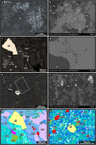 Figure 7. Reflected light photograph (a, c, e) and backscattered electron images (b, d, f) of intrusive units from the Starra 222 footwall. (a, b) Coarse-grained intrusion I showing rutile and ilmenite inclusions in titanite and albite overprinting actinolite (MH_STA_107a). (c) Anhydrite and pyrite reflect hydrothermal overprint of coarse-grained intrusion I (MH_STA_110). (d) Inclusions of Au–Te–Bi in pyrite from intrusion II resembles gold mineralisation in the main ore zone (MH_STA_110). (e, f) Fine-grained intrusion II consists of actinolite, oligoclase and magnetite. Ilmenite inclusion occur in titanite (MH_STA_122c). (g) Automated mineral identification and characterisation system (AMICS) map of intrusion I showing a similar region as in (c). (h) AMICS map of intrusion II highlighting mineral phases shown in (e). Mineral abbreviations: Ab, albite; Act, actinolite; Anh, anhydrite; Ap, apatite; Bt, biotite; Cal, calcite; Ccp, chalcopyrite; Chl, chlorite; Ep, epidote; Ilm, ilmenite; Krs, kaersutite; Mag, magnetite; Oli, oligoclase; Py, pyrite; Qz, quartz; Rt, rutile; Ttn, titanite.
