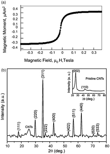Figure 4. (a) Typical magnetization curve of a MCNT prepared by filling process [Citation34]. (b) XRD pattern of CNTs/Fe3O4 hybrids obtained by self-assembly method (the inset shows the XRD pattern of treated CNTs) [Citation67].